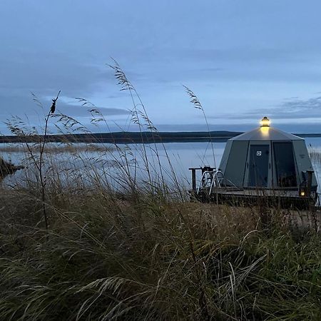 Vikajaervi Lake View Experience Igloos Rovaniemi Eksteriør bilde