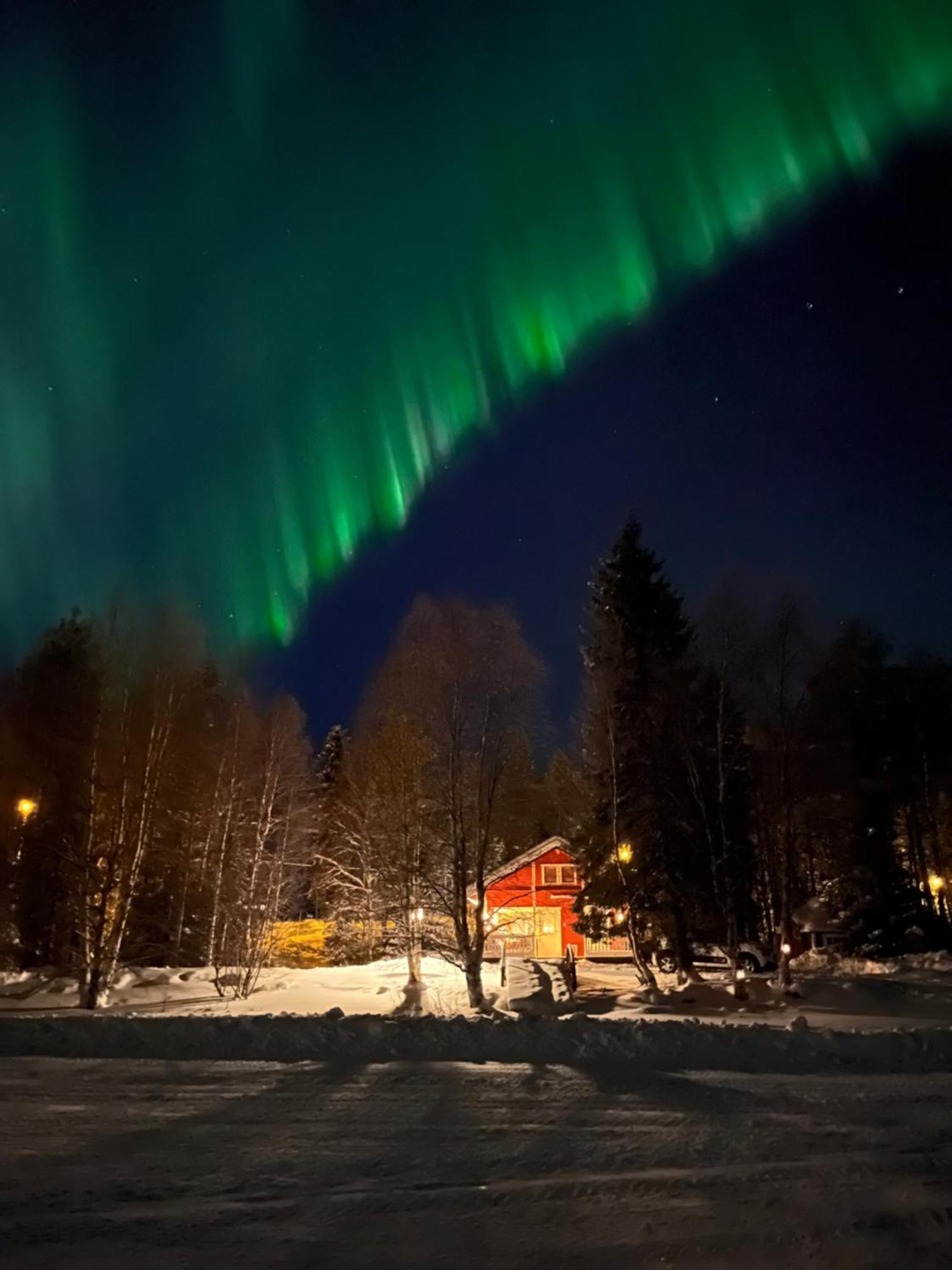 Vikajaervi Lake View Experience Igloos Rovaniemi Eksteriør bilde