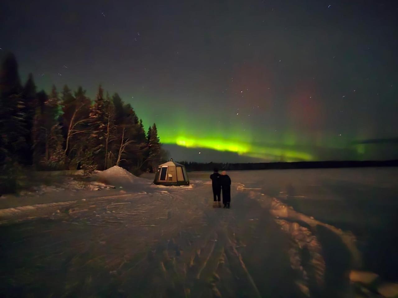 Vikajaervi Lake View Experience Igloos Rovaniemi Eksteriør bilde